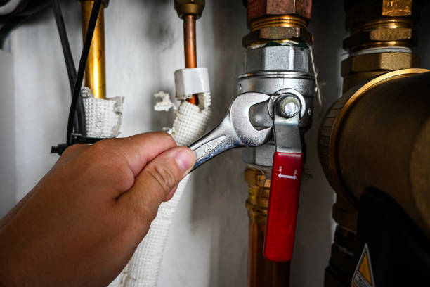 Best Hot Water Heater Installation  in Minonk, IL